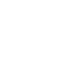 LightningPirate